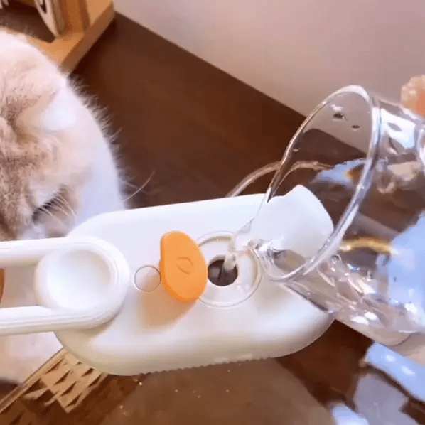 GloFur™ Pet Steam Brush – Remove Fur Easily with Steam LckyPet