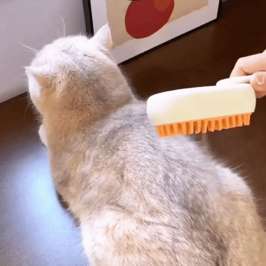 GloFur™ Pet Steam Brush – Remove Fur Easily with Steam LckyPet