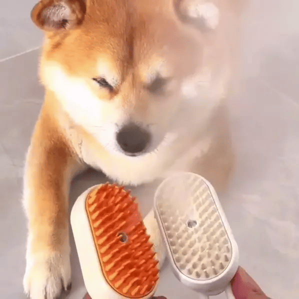 GloFur™ Pet Steam Brush – Remove Fur Easily with Steam LckyPet