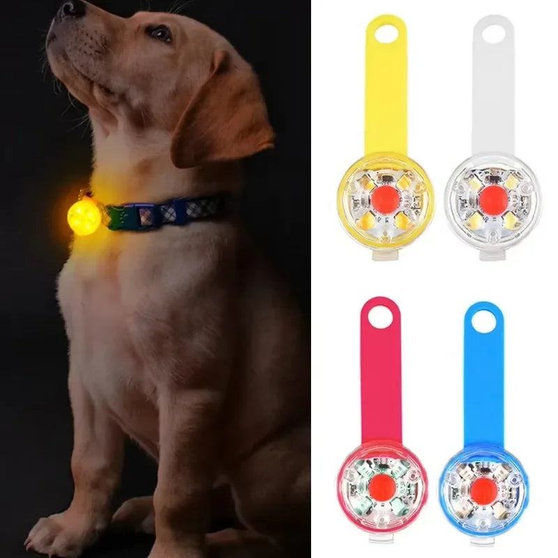 Dog collar, loss collar, weatherproof LED safety light, USB rechargeable LED light collar, dog, cat, pet LckyPet™
