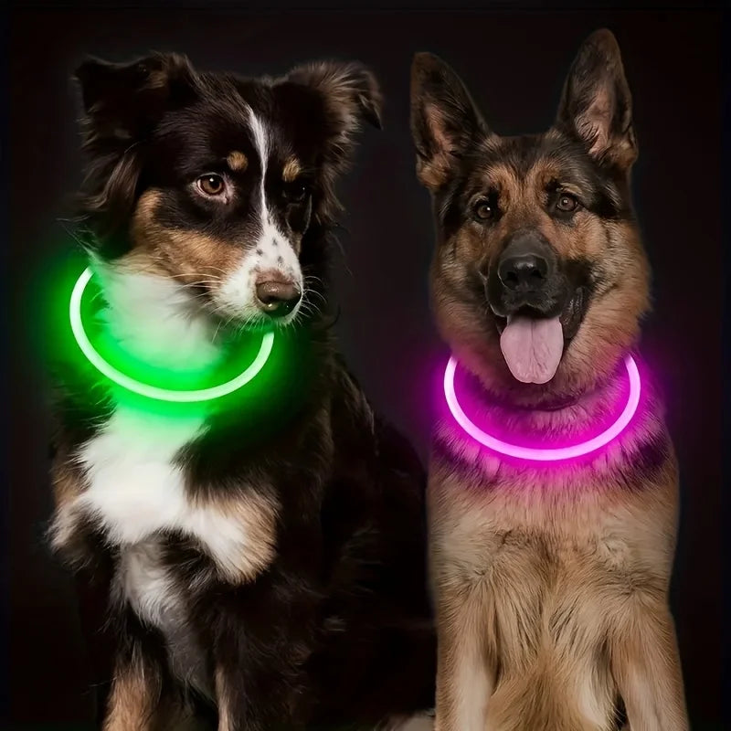 Pet Dog LED Light Collar Luminous Anti-Lost Dog Collar USB Rechargeable Dog Necklace Collar LckyPet™