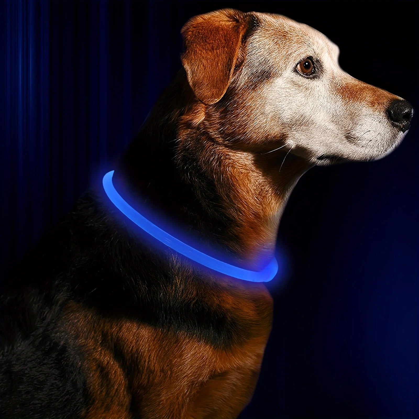 Pet Dog LED Light Collar Luminous Anti-Lost Dog Collar USB Rechargeable Dog Necklace Collar LckyPet™