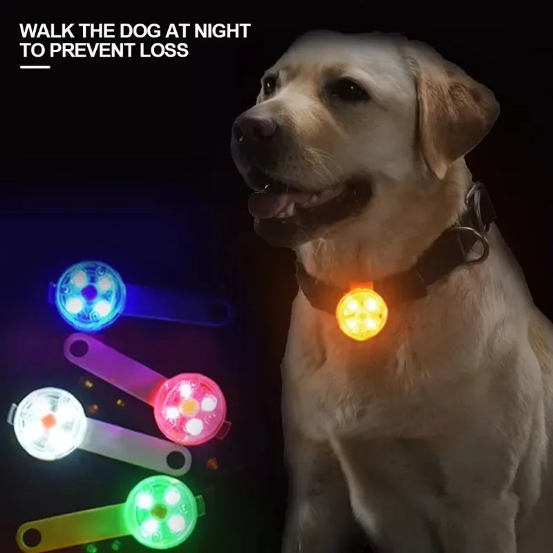 Dog collar, loss collar, weatherproof LED safety light, USB rechargeable LED light collar, dog, cat, pet LckyPet™