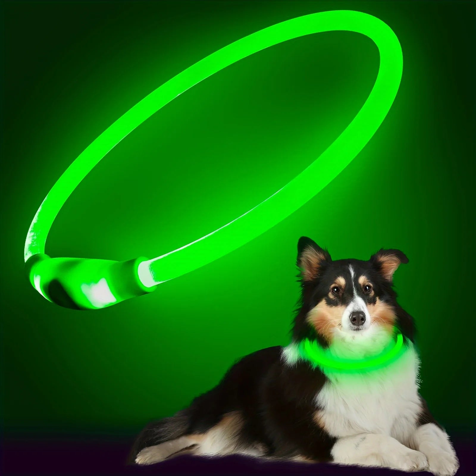 Pet Dog LED Light Collar Luminous Anti-Lost Dog Collar USB Rechargeable Dog Necklace Collar LckyPet™