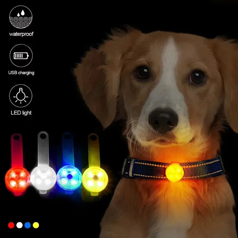 Dog collar, loss collar, weatherproof LED safety light, USB rechargeable LED light collar, dog, cat, pet LckyPet™