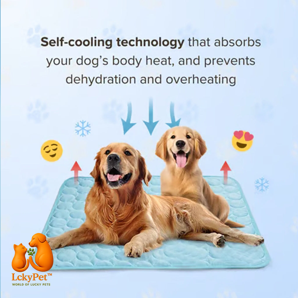 CoolComfort™ – Pet Cooling Pad LckyPet™