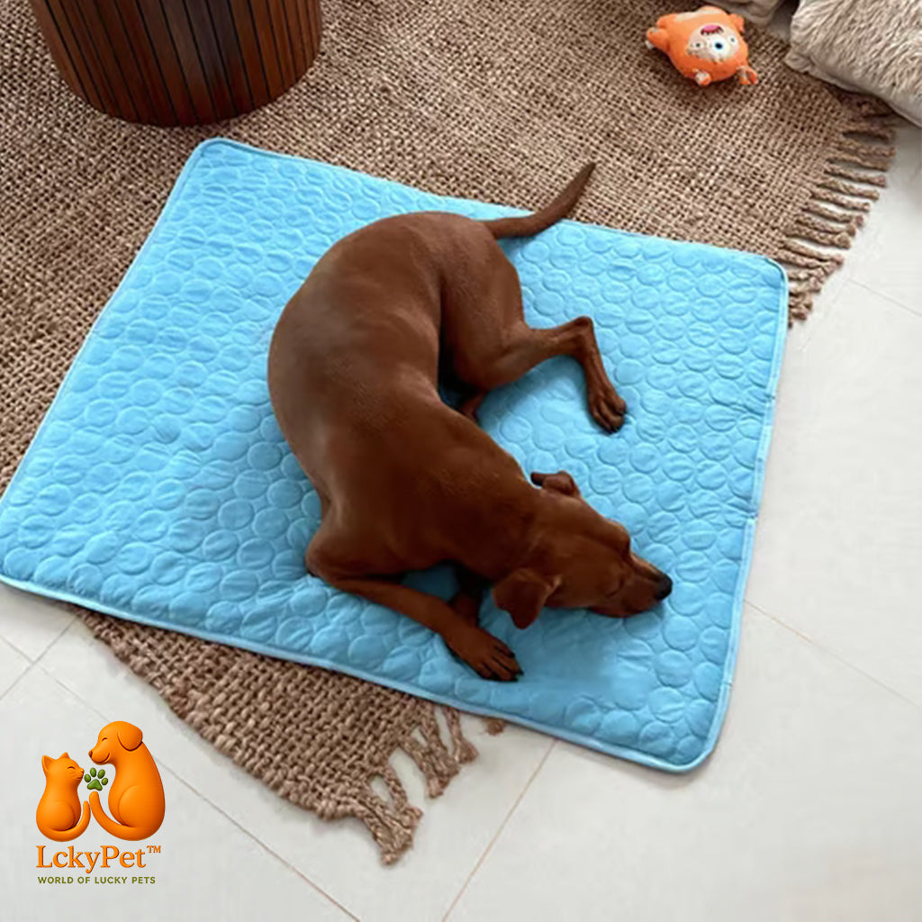 CoolComfort™ – Pet Cooling Pad LckyPet™