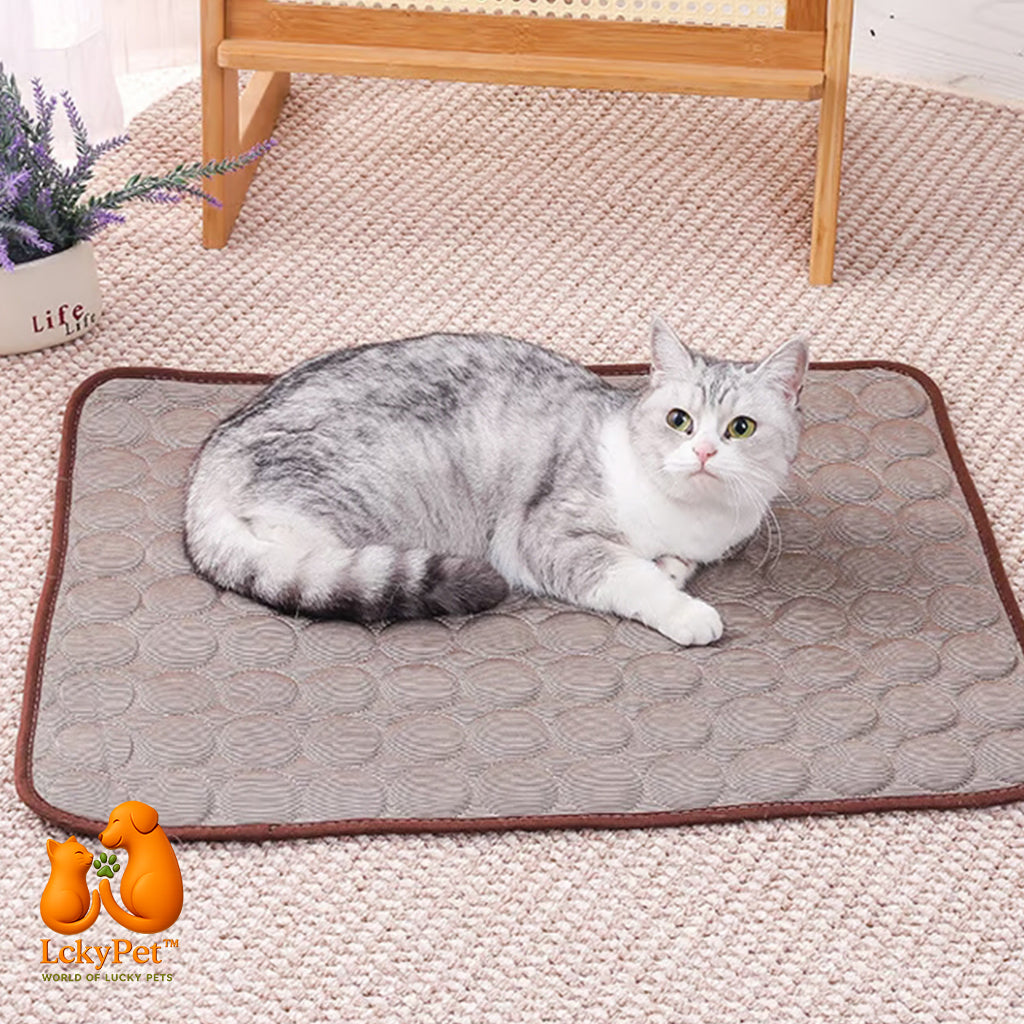 CoolComfort™ – Pet Cooling Pad LckyPet™