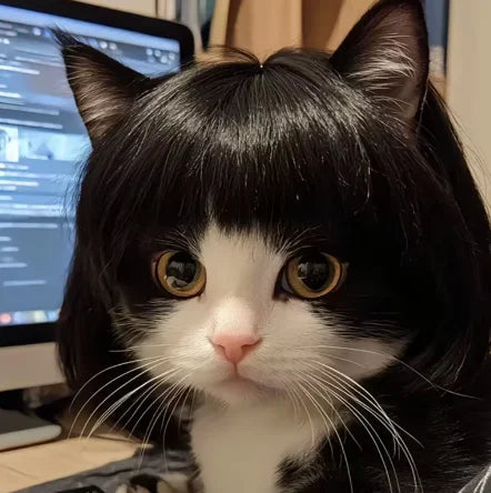 Pet Wig Dog And Cat Spoof Wig Pet Supplies Christmas Pet Accessories Curly Hair Straight Hair Diy Hand Woven Hair Wig Accessorie LckyPet™