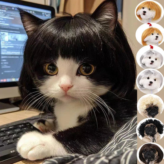 Pet Wig Dog And Cat Spoof Wig Pet Supplies Christmas Pet Accessories Curly Hair Straight Hair Diy Hand Woven Hair Wig Accessorie LckyPet™