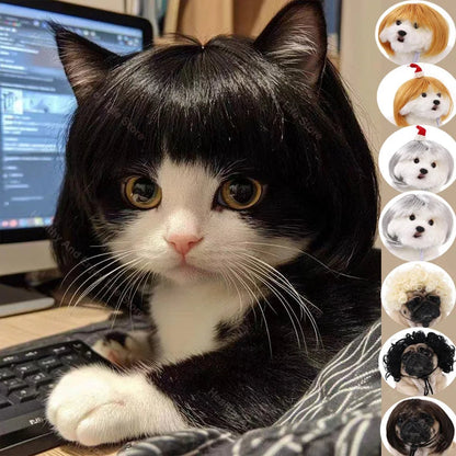 Pet Wig Dog And Cat Spoof Wig Pet Supplies Christmas Pet Accessories Curly Hair Straight Hair Diy Hand Woven Hair Wig Accessorie LckyPet™