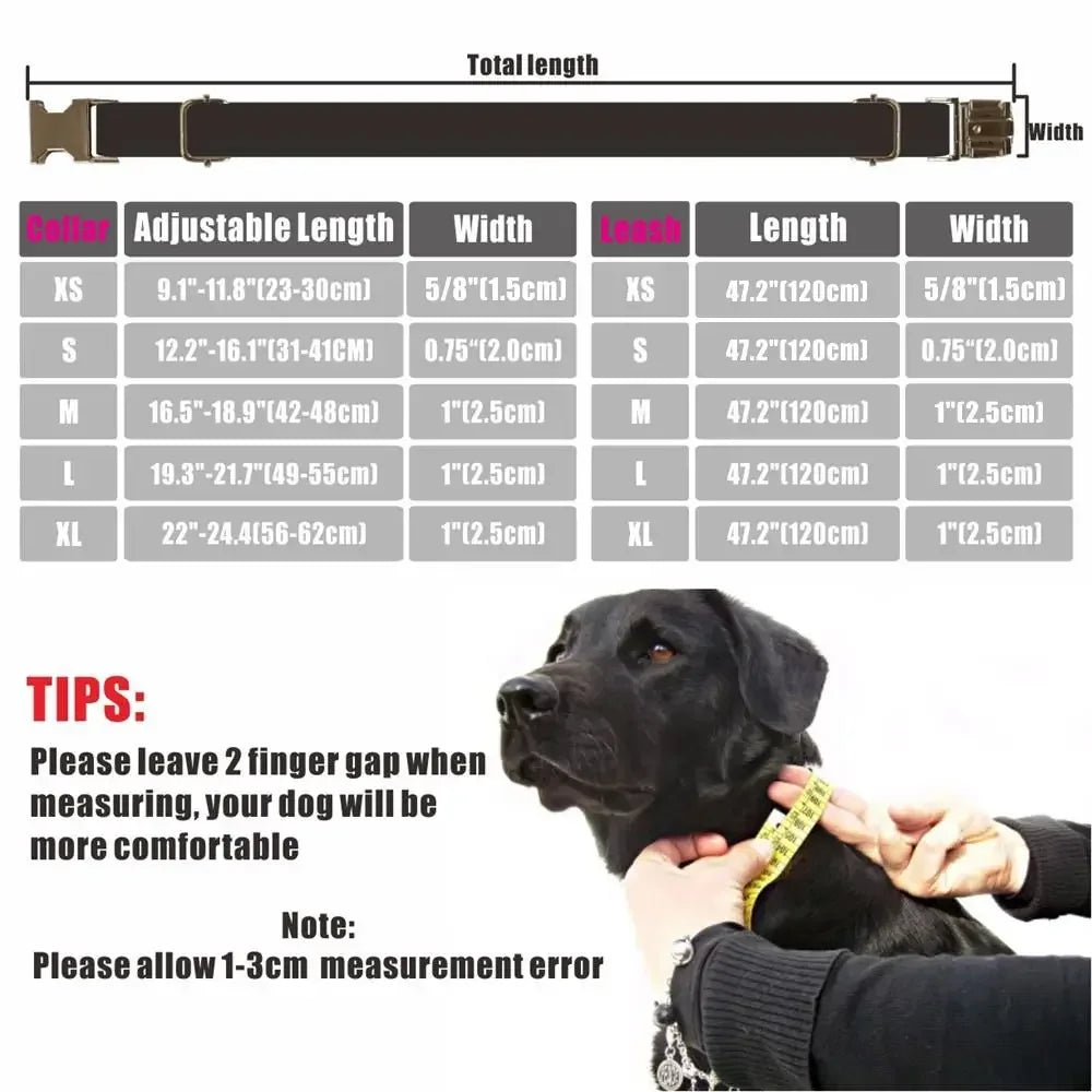 Personalized Dog Collar with Free Engraving, Matching Pet Leash,Customzied Contacts Buckle, Halloween Pumpkins Pet Collar LckyPet™