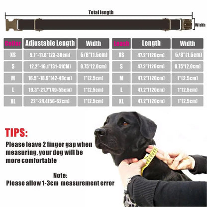 Personalized Dog Collar with Free Engraving, Matching Pet Leash,Customzied Contacts Buckle, Halloween Pumpkins Pet Collar LckyPet™