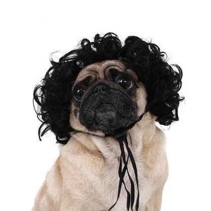 Pet Wig Dog And Cat Spoof Wig Pet Supplies Christmas Pet Accessories Curly Hair Straight Hair Diy Hand Woven Hair Wig Accessorie LckyPet™