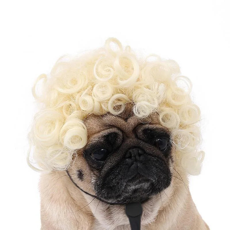 Pet Wig Dog And Cat Spoof Wig Pet Supplies Christmas Pet Accessories Curly Hair Straight Hair Diy Hand Woven Hair Wig Accessorie LckyPet™