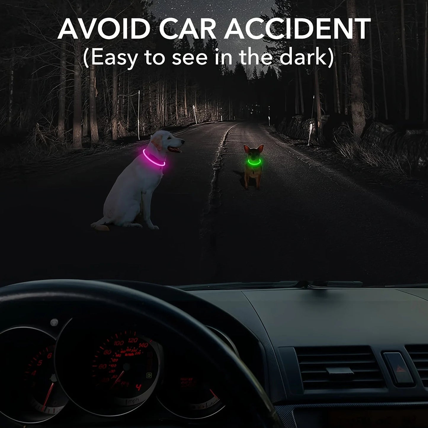 Pet Dog LED Light Collar Luminous Anti-Lost Dog Collar USB Rechargeable Dog Necklace Collar LckyPet™