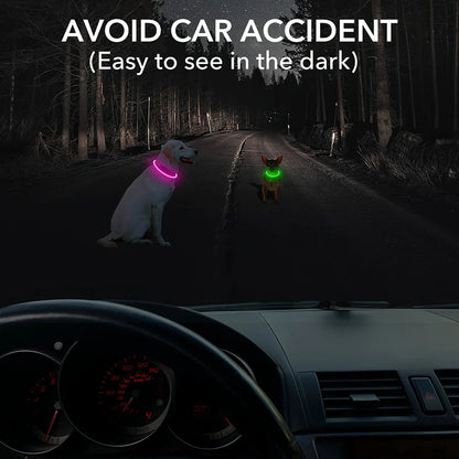 Pet Dog LED Light Collar Luminous Anti-Lost Dog Collar USB Rechargeable Dog Necklace Collar LckyPet™
